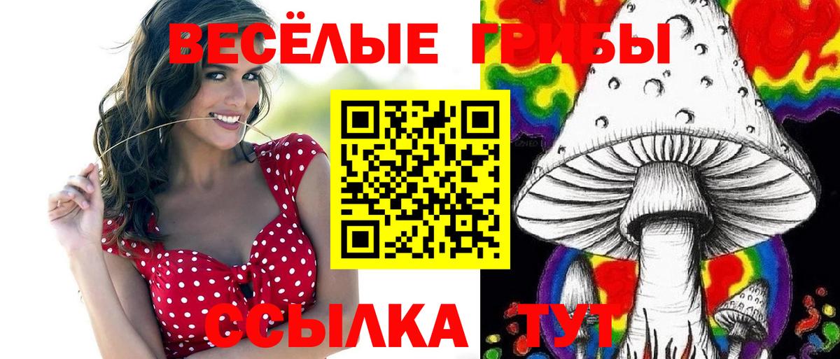 Прокопьевск  Псилоцибиновые грибы прущие грибы  Вход с VPN  Галлюциногенные грибы мицелий 