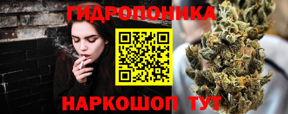 Марихуана семена Прокопьевск
